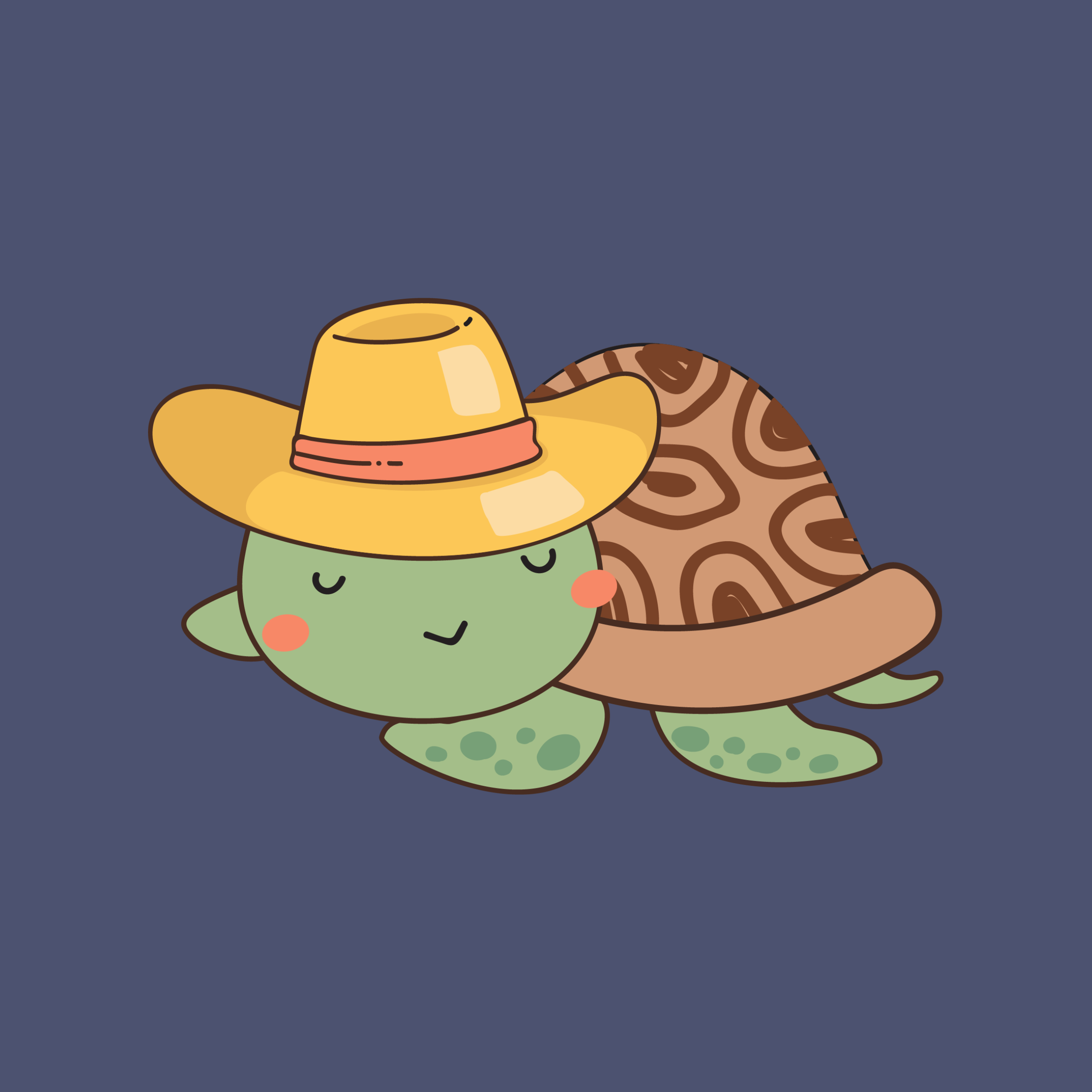 Cartoon turtle wearing a yellow hat on a dark blue background